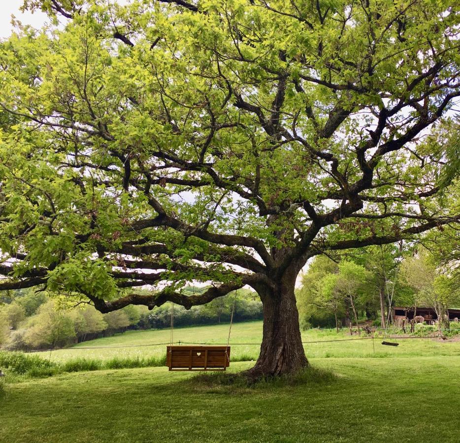Domaine Le Rianon Villa Malleret-Boussac Dış mekan fotoğraf