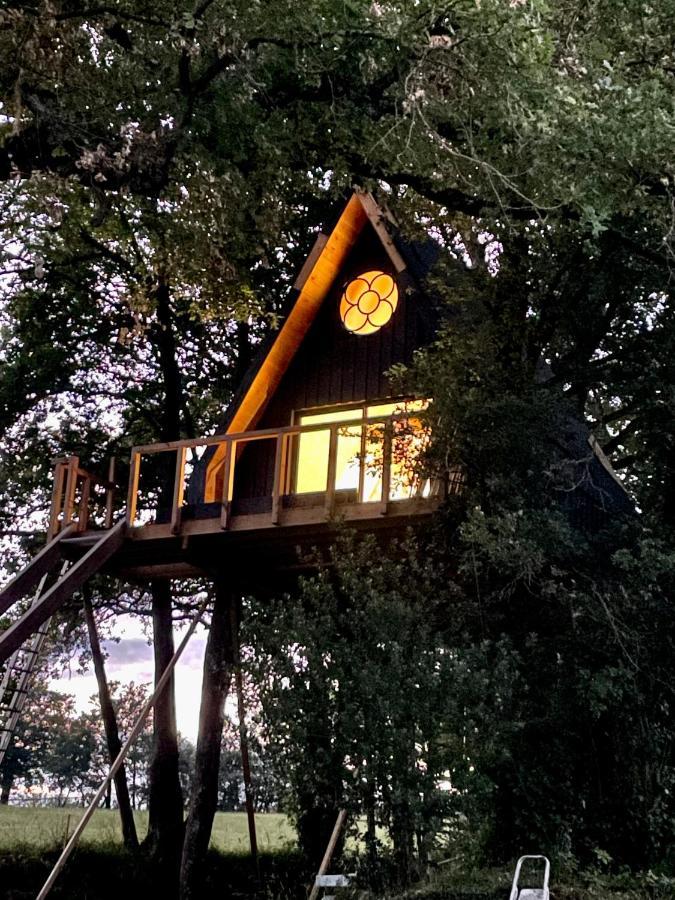 Domaine Le Rianon Villa Malleret-Boussac Dış mekan fotoğraf