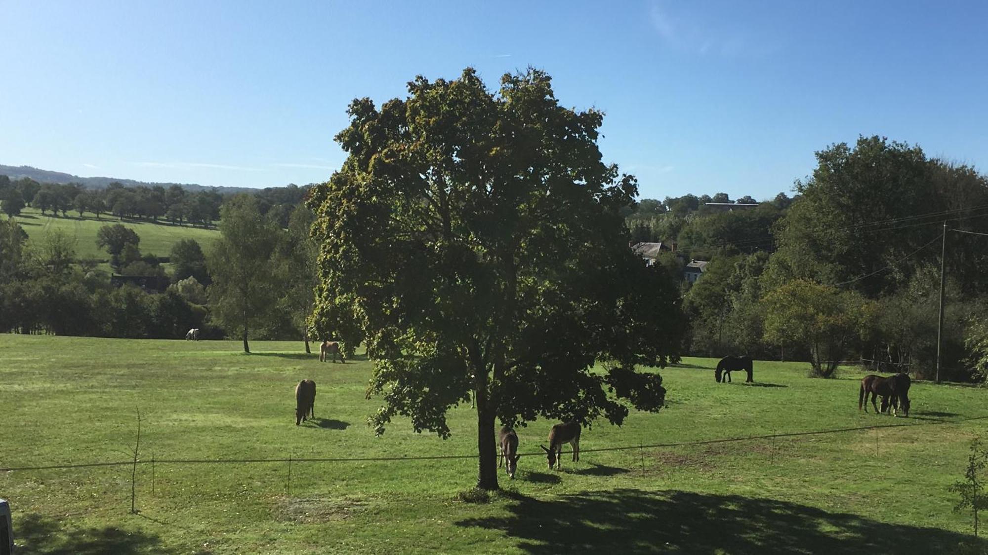 Domaine Le Rianon Villa Malleret-Boussac Dış mekan fotoğraf