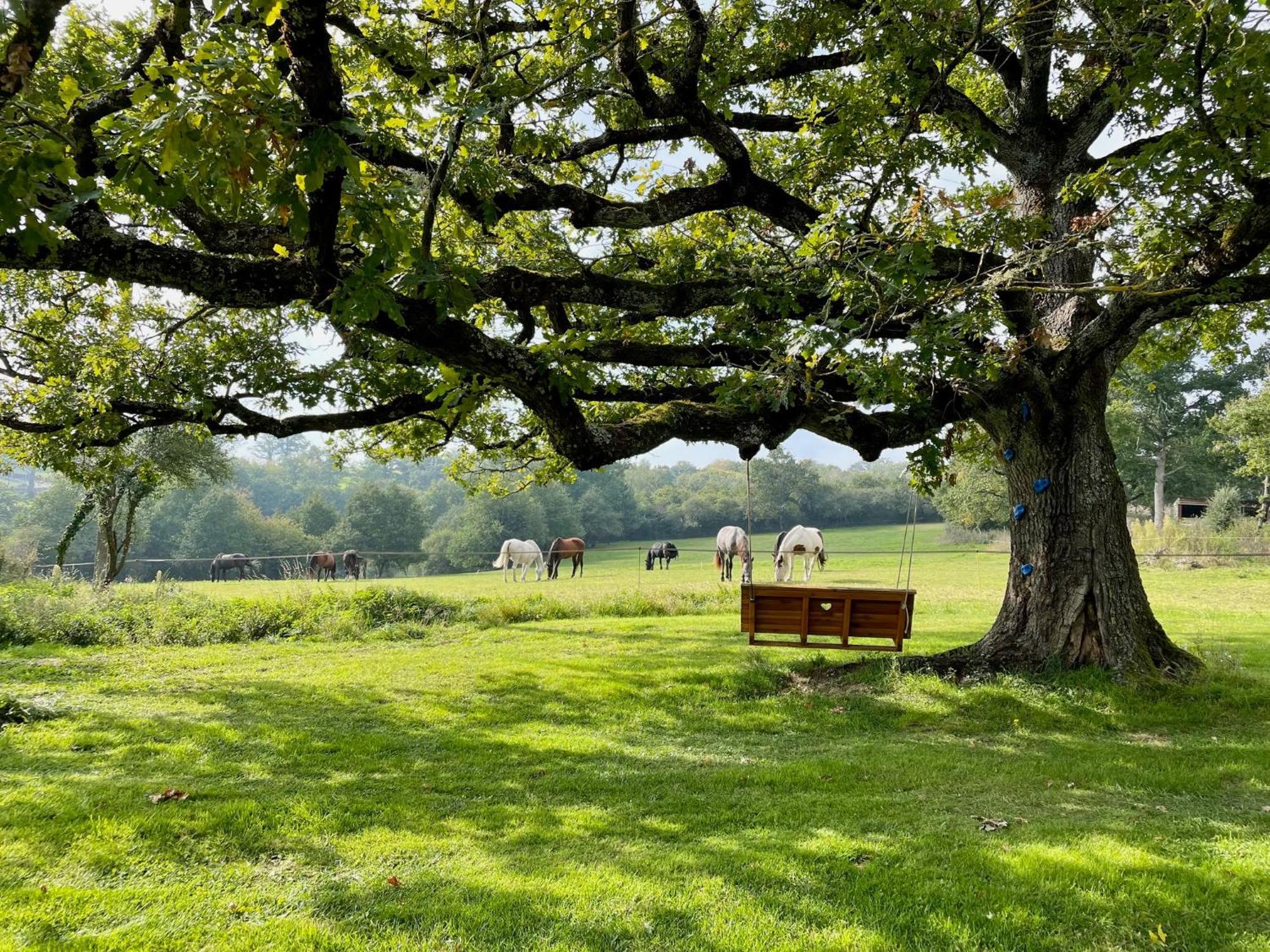 Domaine Le Rianon Villa Malleret-Boussac Dış mekan fotoğraf