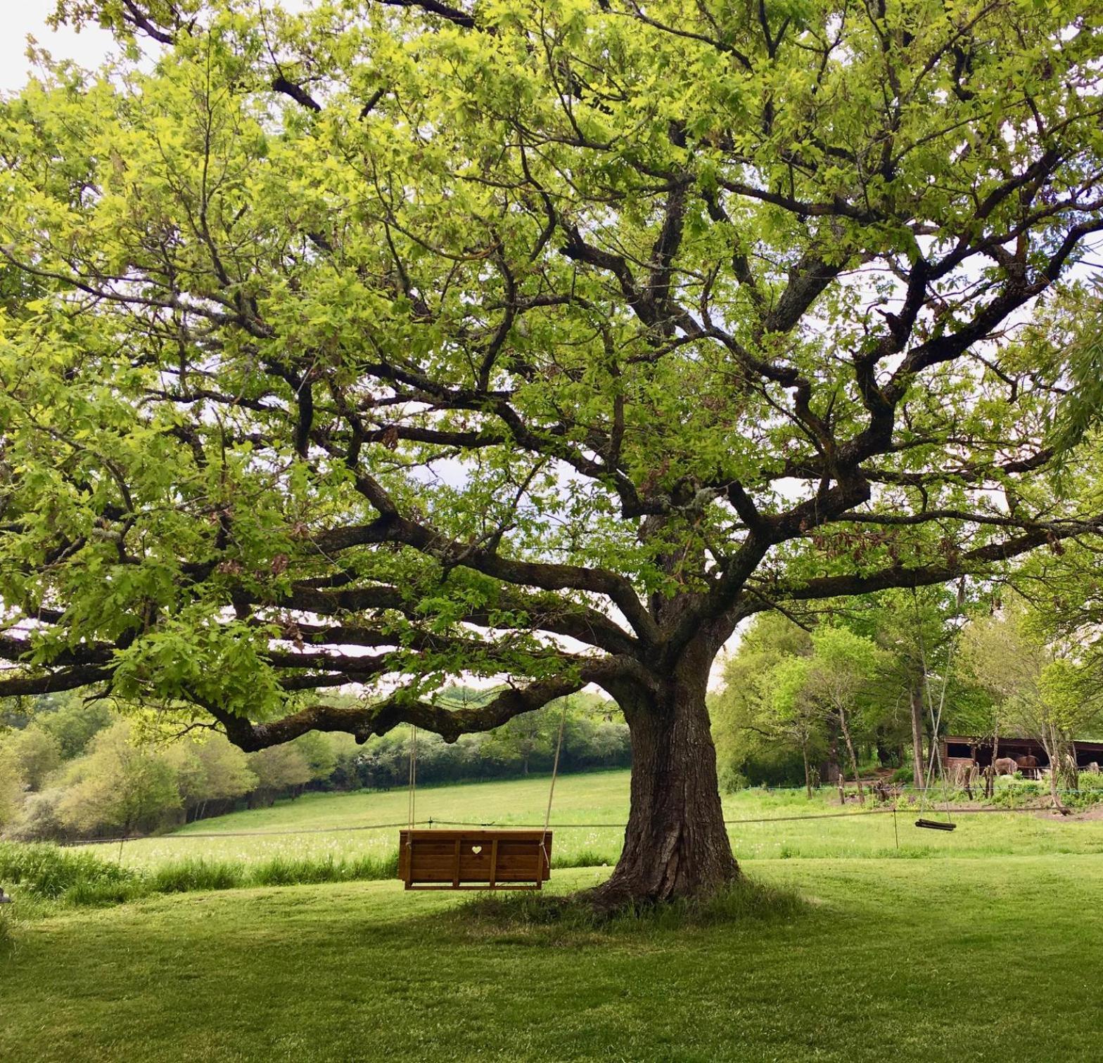 Domaine Le Rianon Villa Malleret-Boussac Dış mekan fotoğraf