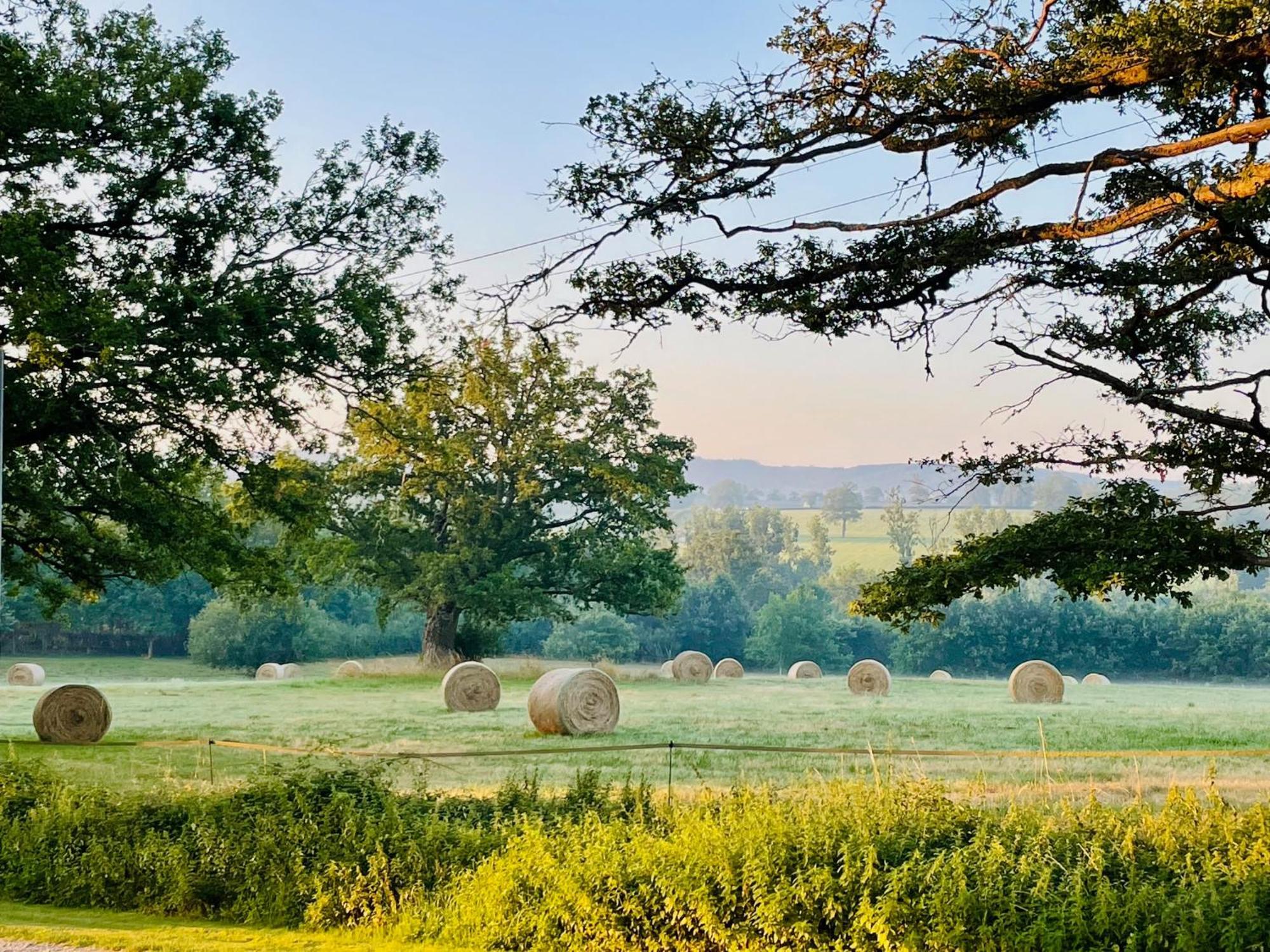 Domaine Le Rianon Villa Malleret-Boussac Dış mekan fotoğraf