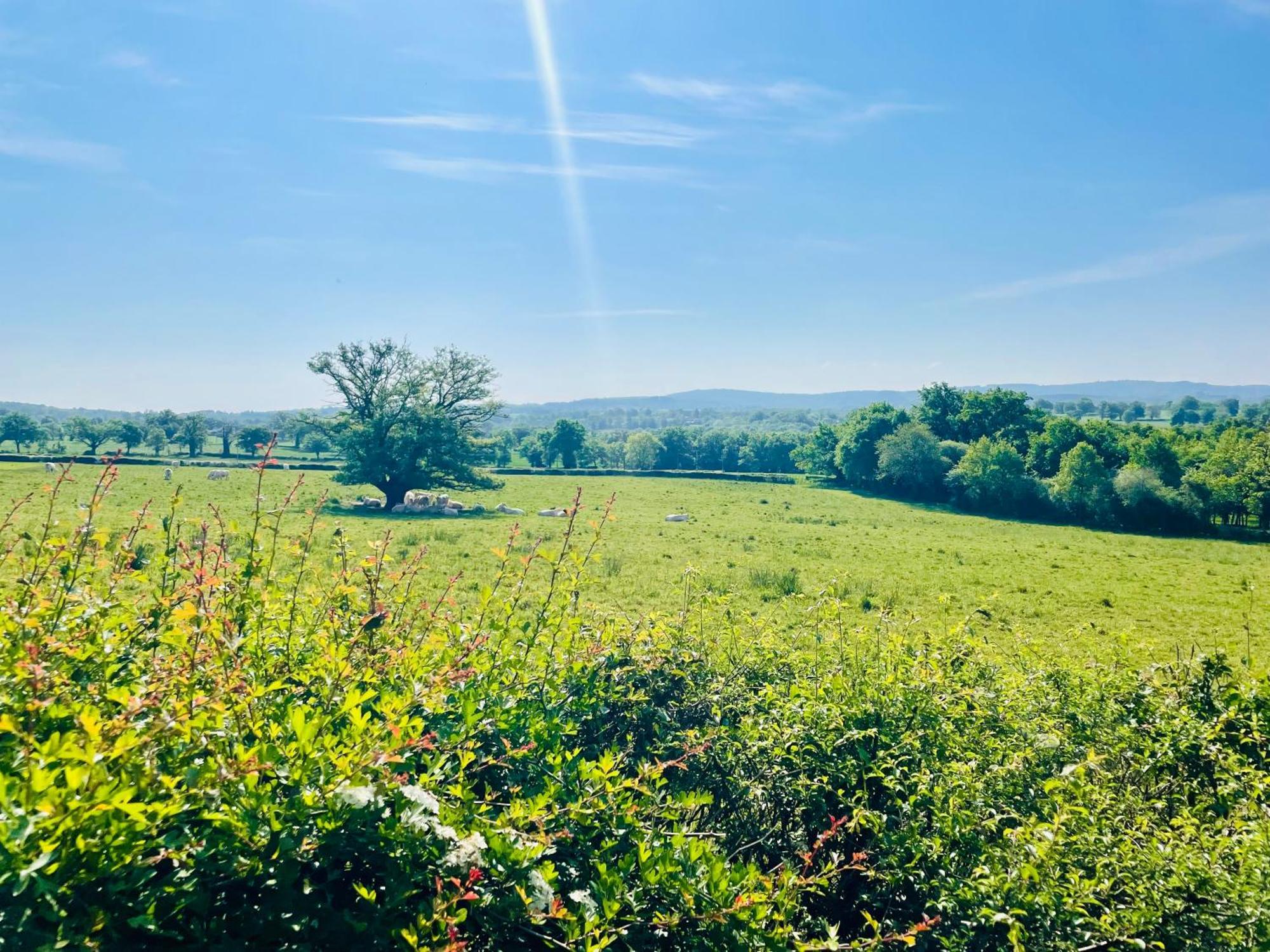 Domaine Le Rianon Villa Malleret-Boussac Dış mekan fotoğraf